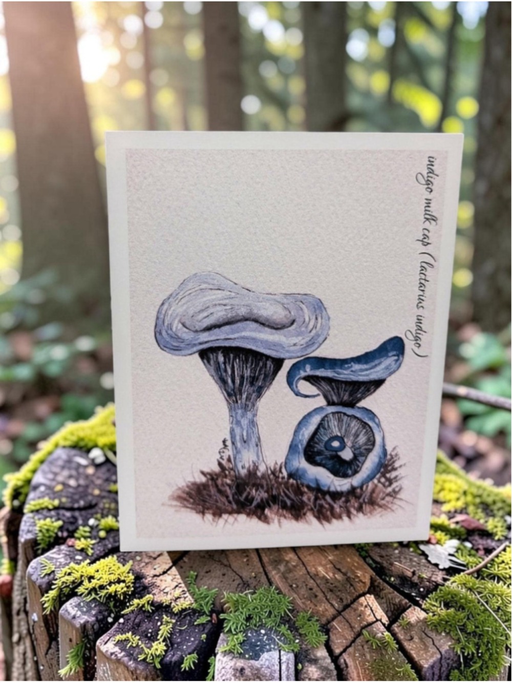 12 Watercolor Notecards Mushroom Series 4.25 x 5.5 - Picture 3 of 8